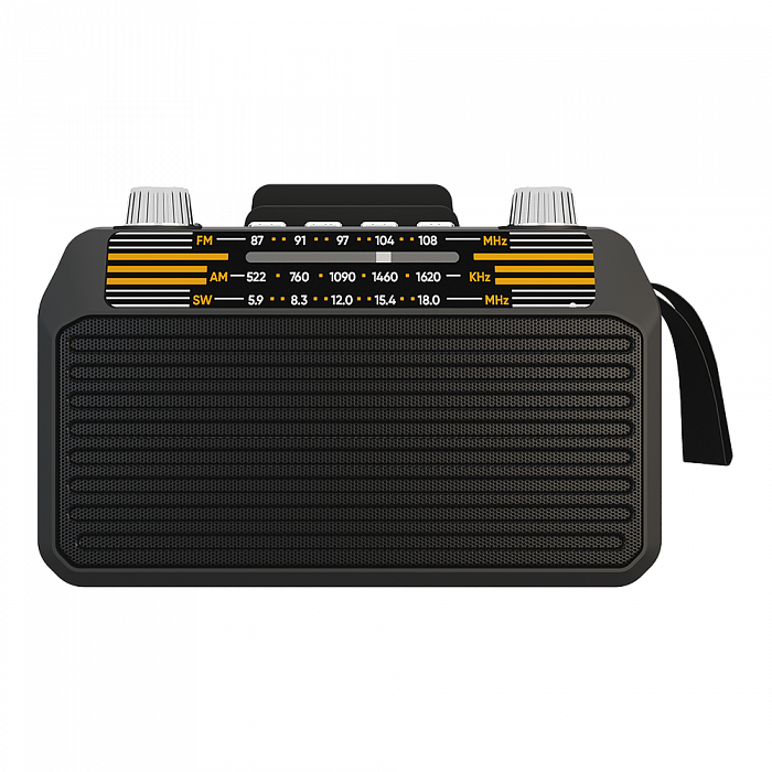 SOUNDMAX SM-RD2114UB черный